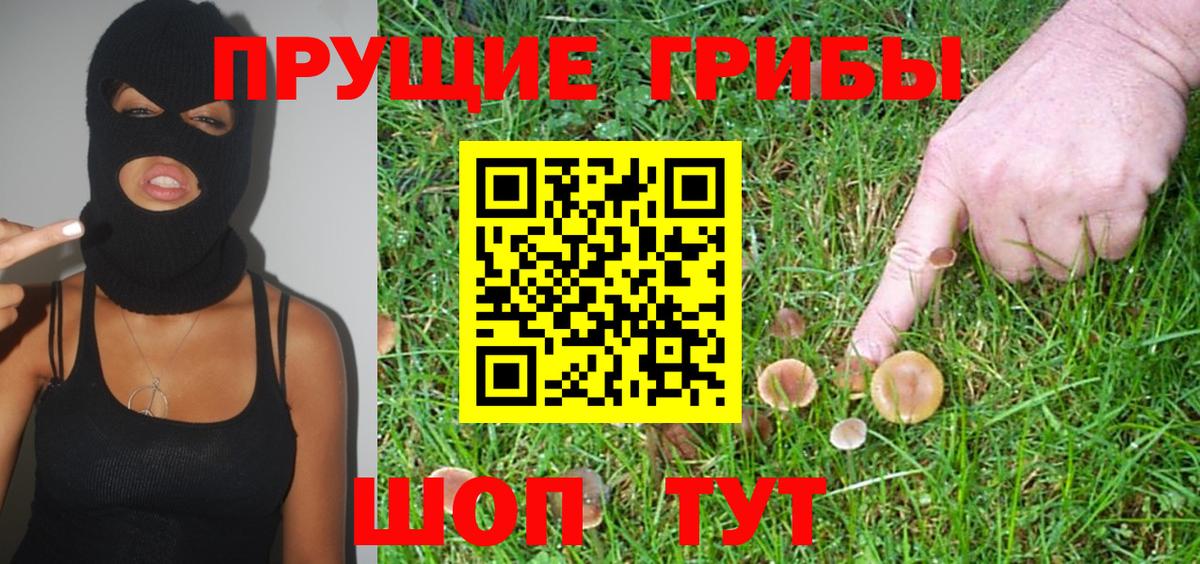 Галлюциногенные грибы мицелий Ижевск